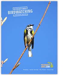 Birdwatching Guide