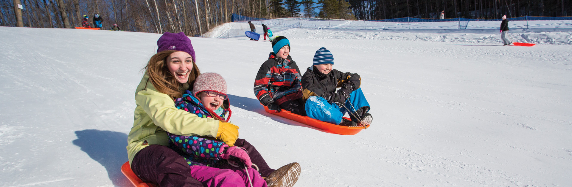 Sleds and Sleighs
