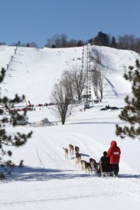 Try a dog sled ride during Presidents Day weekend at Win*Ter*Ven*Tion in Harbor Springs.