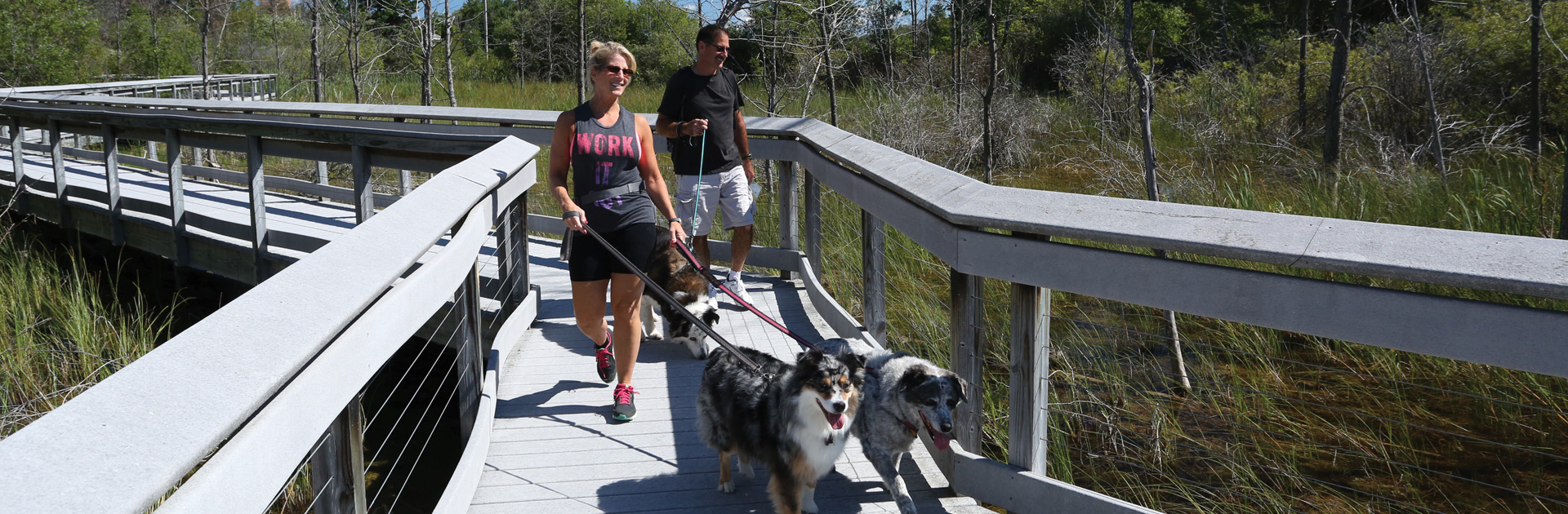 Petoskey, Harbor Springs, Boyne Falls, Boyne City Area Hiking Trails