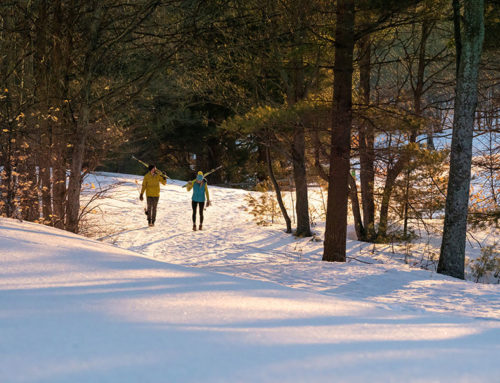 Best X/C Trails to Try this Winter