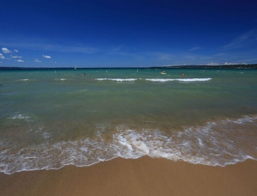 Michigan state parks enhance the Petoskey Area