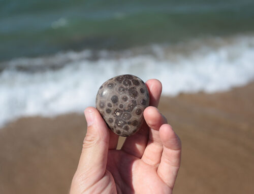 Six Fun Things to do this Spring in the Petoskey Area