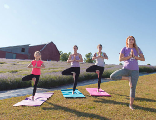 Smarten Up in the Petoskey Area