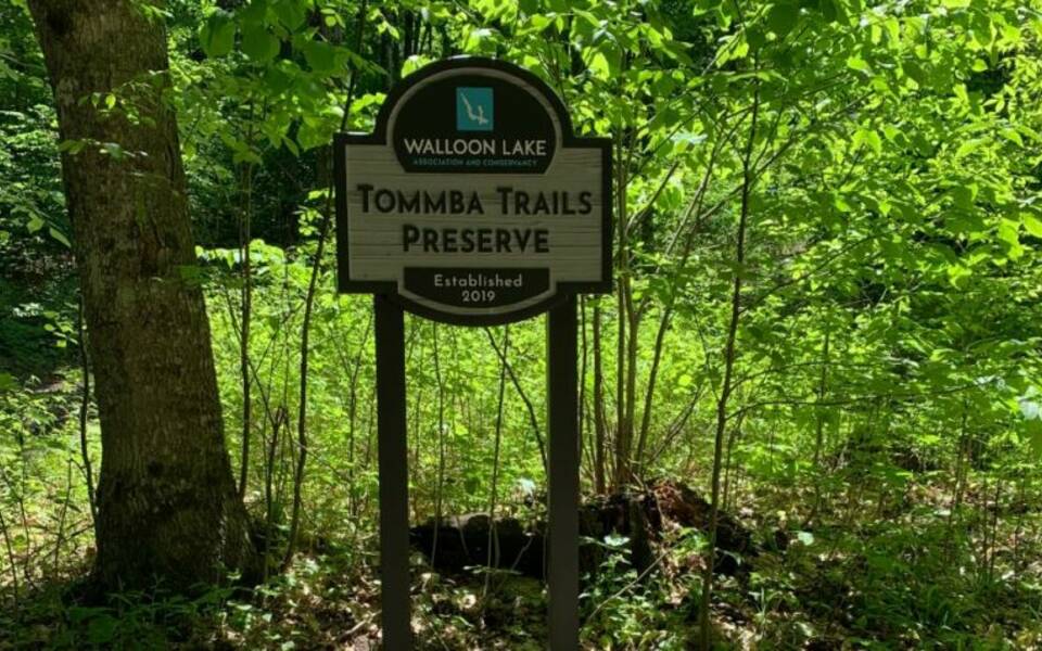 Walloon Lake Association and Conservancy