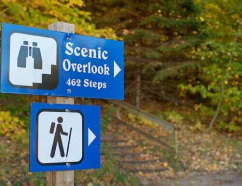 The 2026 Petoskey Area Bucket List