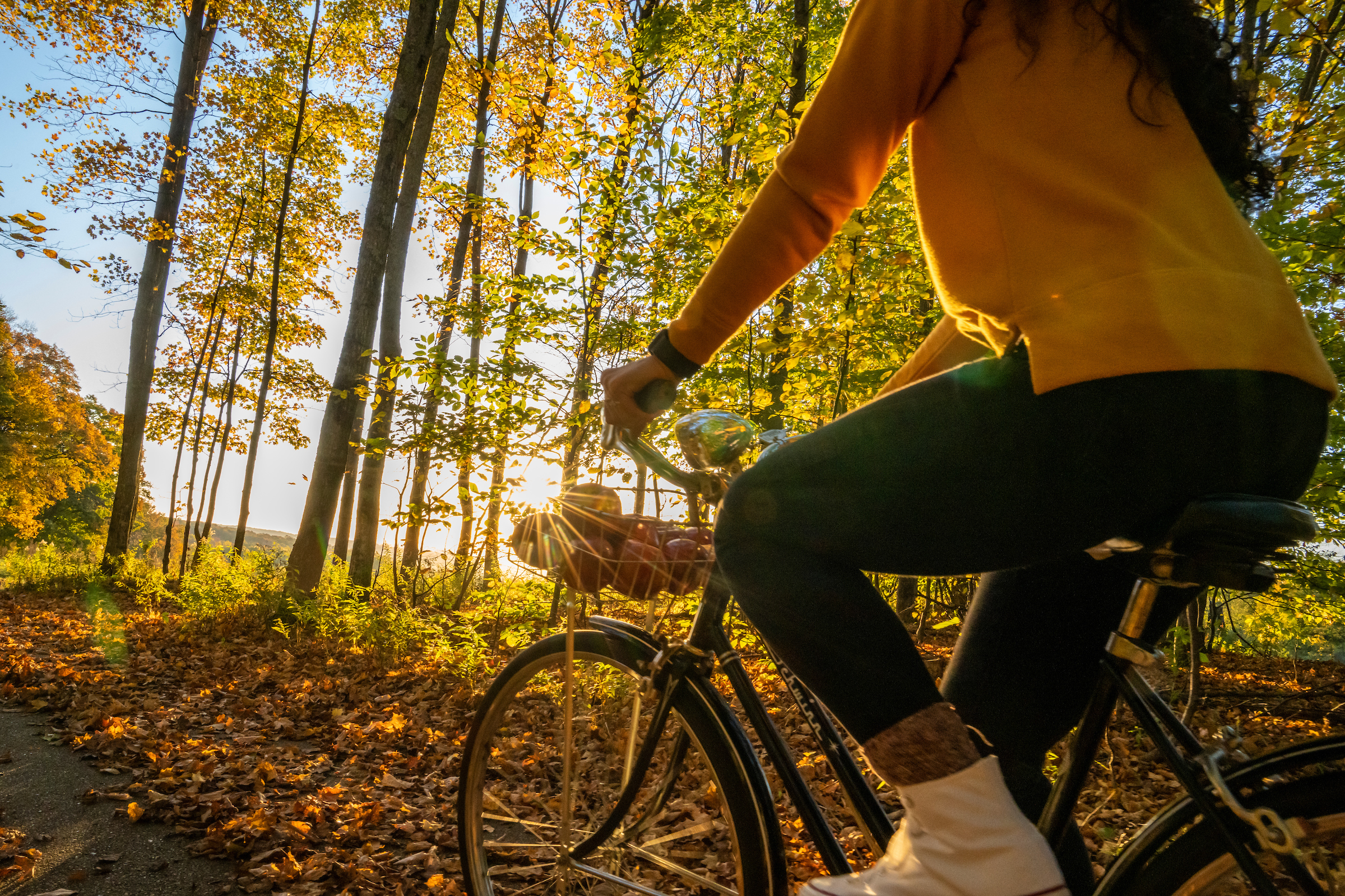 woman riding bike in forest scene