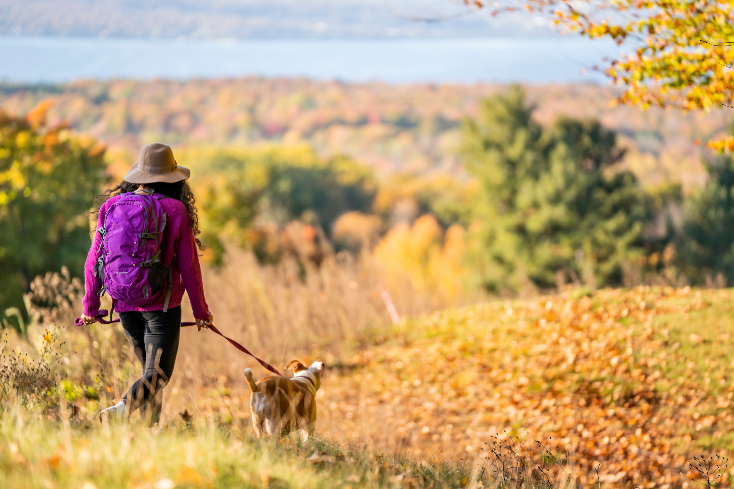 woman walking dog on fall nature trail