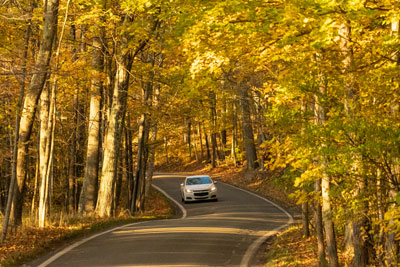 Scenic color tours In The Petoskey Area