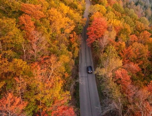 Day Trips from the Petoskey Area