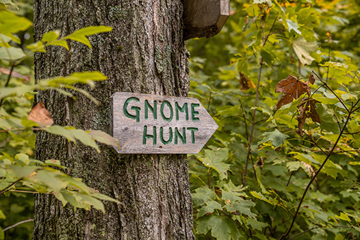 Pond Hill Farm Gnome Hunt