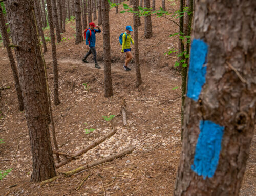 Why hiking is one of the top things to do in Petoskey, MI