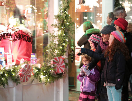 Northern Michigan Gift Guide