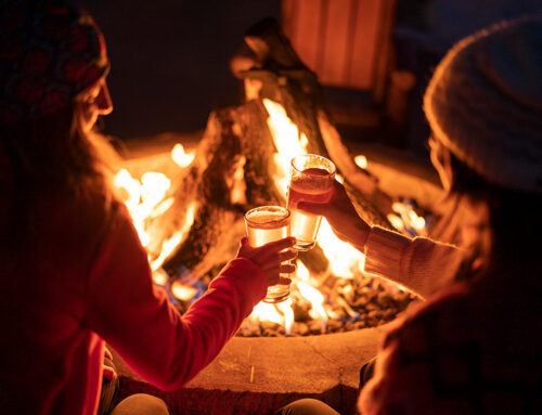 Top Winter Activities in Petoskey Area