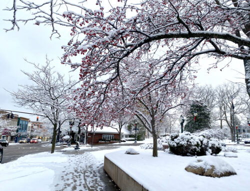 Petoskey Area Holiday Open Houses