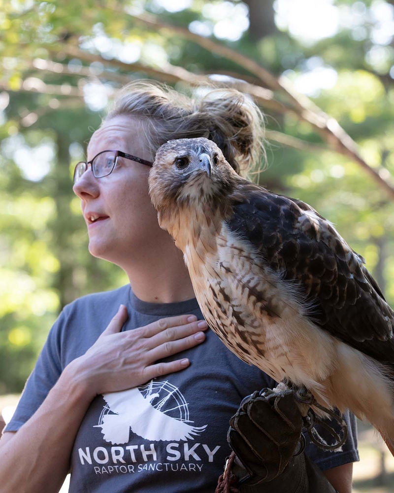 Woman holding a raptor bird - hawk