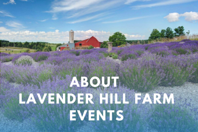 About Lavender Hill Farm Events