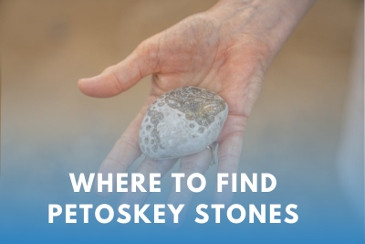 Where to Find Petoskey Stones