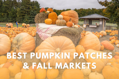 Best Pumpkin Patches and Fall Markets