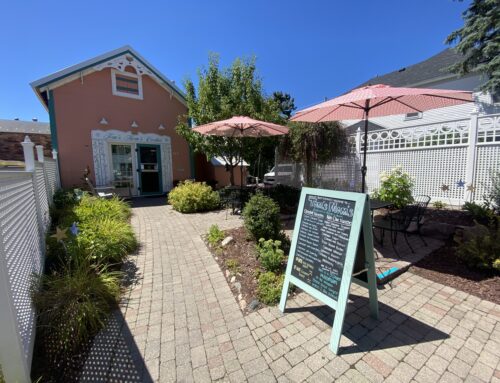 Things to Do Along the Tunnel of Trees