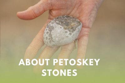About Petoskey Stones