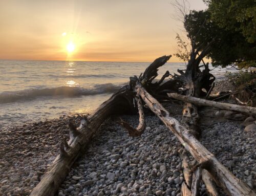 5 Unforgettable Hikes for Summer Days in the Petoskey Area