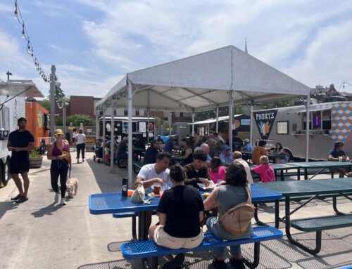 Dog-Friendly Spaces in the Petoskey Area