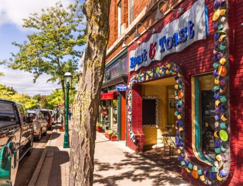 Flavors of Fall in the Petoskey Area