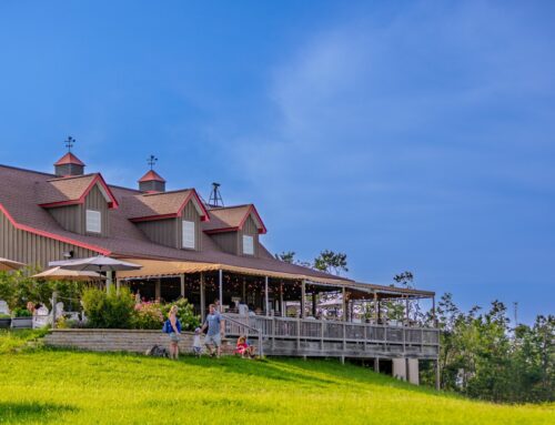 Sip, Sip, Hooray! Exploring 3 Petoskey Area Wineries