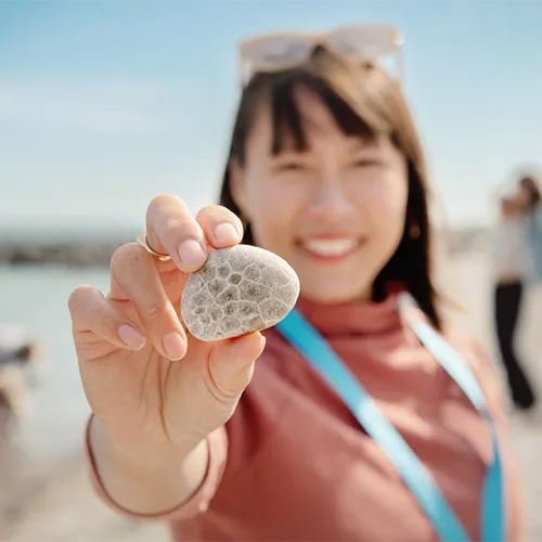 Petoskey Stone Hunting