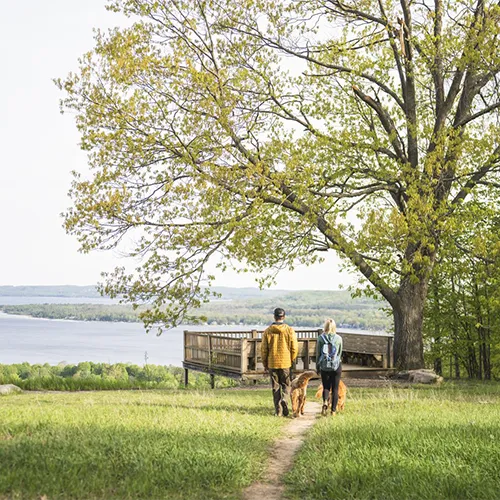 Avalanche Mountain Preserve