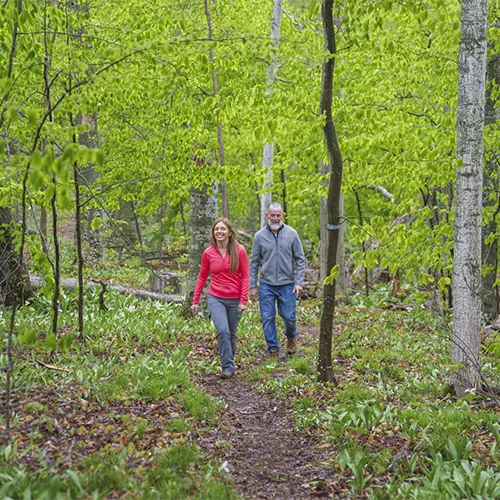 Bubbling Springs Preserve