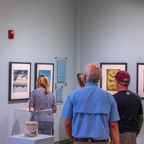 Crooked Tree Arts Center Gallery