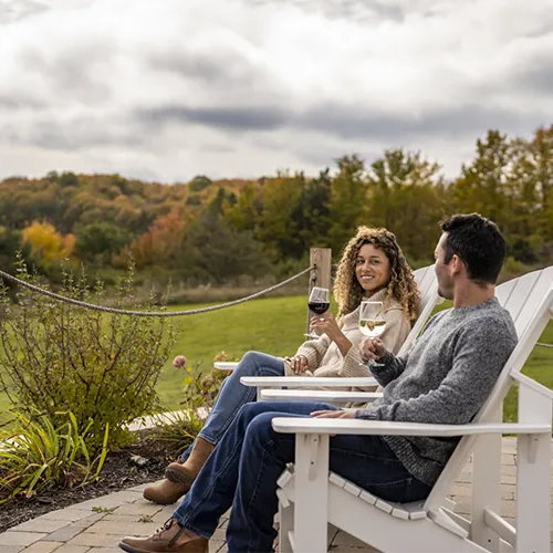 A couple drinking wine