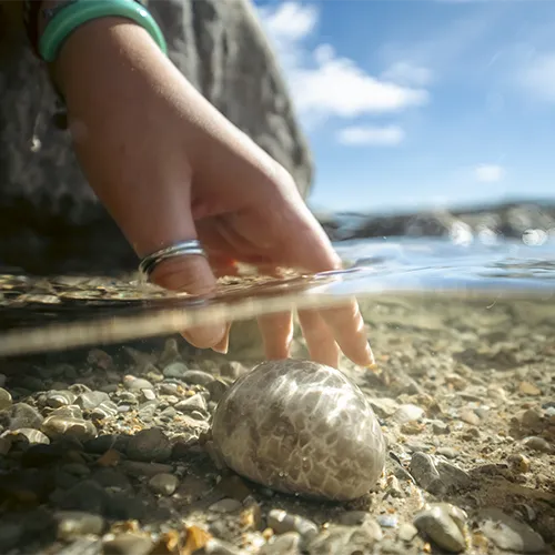 Petoskey Stone Hunting