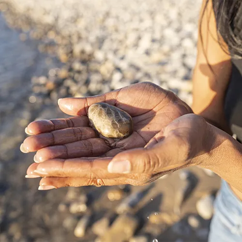 Petoskey Stone Hunting CTA Petoskey Stone Hunting