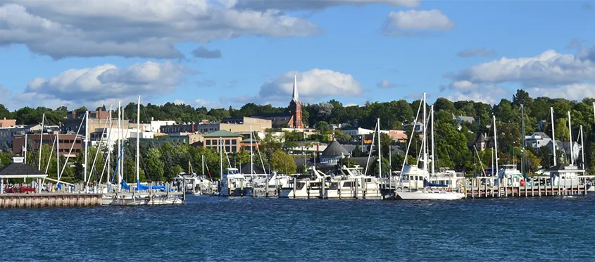 Petoskeylarge Petoskey