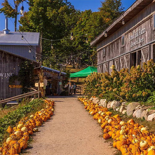 Pond Hill Farm