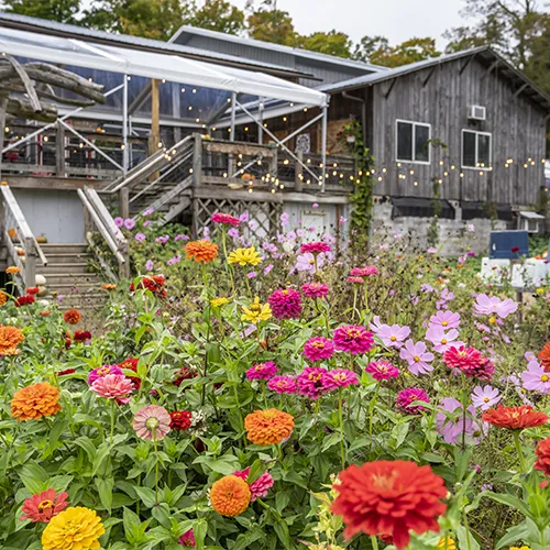 Pond Hill Farm Pond Hill Farm