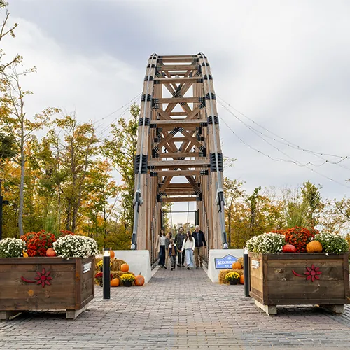 Skybridge Michigan