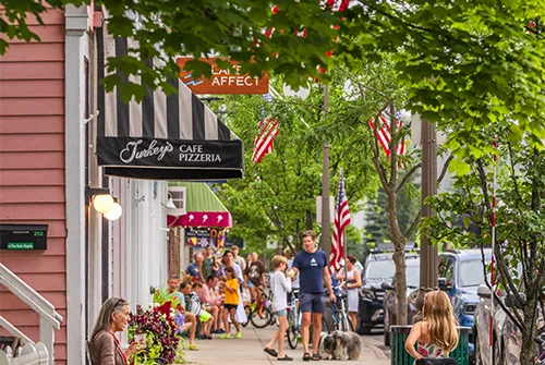 Turkeys – Schadler Turkeys