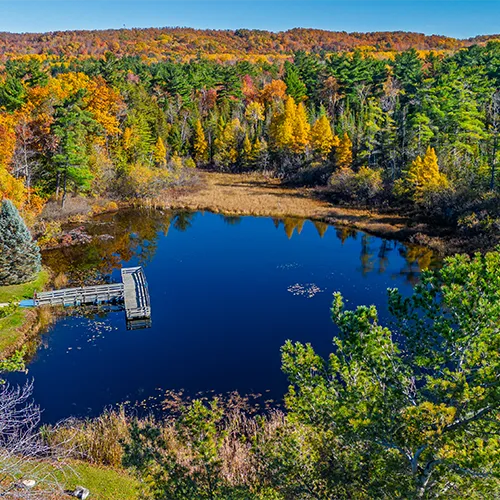 Young State Park Fall