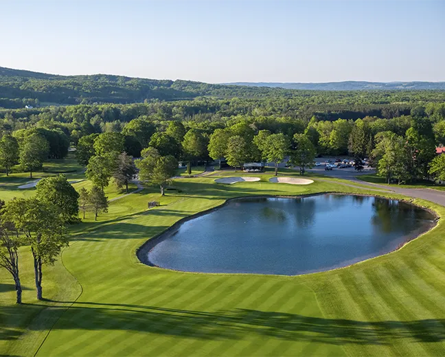 The Highlands – The Heather