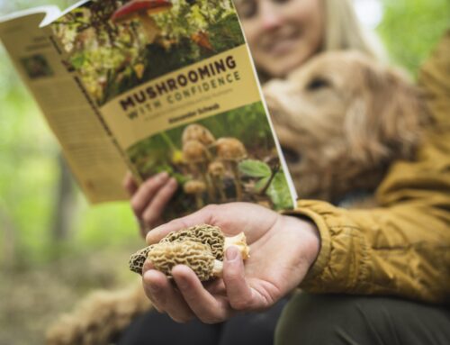 Top 10 Ways to Spend Your Spring in Petoskey Area