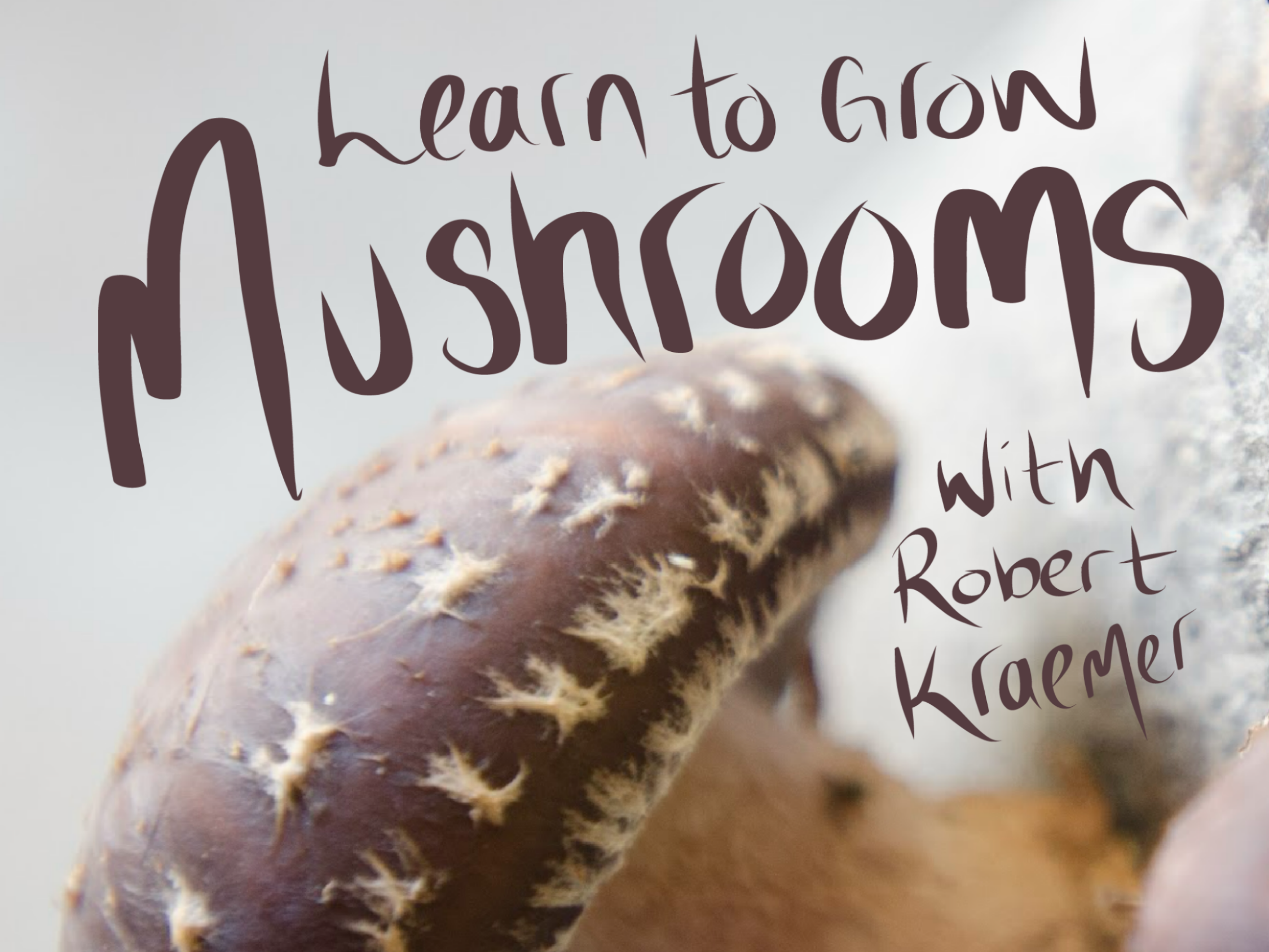 Mushroom Log Inoculation Workshop