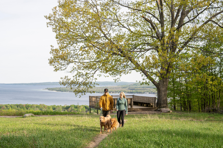 Avalanche Mountain Preserve overlook in Boyne City 
