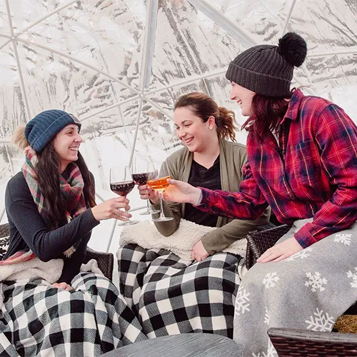 A group of women toasting with drinks