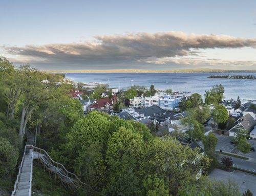 New Places to Visit in the Petoskey Area