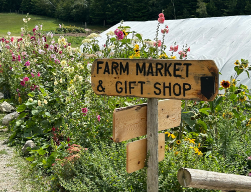 Soak Up Summer at Pond Hill Farm
