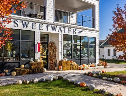 This Flower Shop is a Must-Stop on Your Petoskey Area Trip